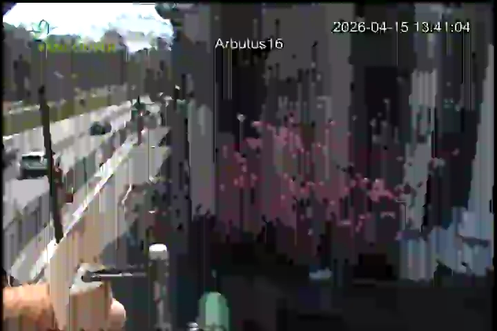 Arbutus & W 16th - West